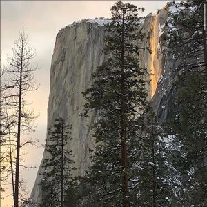 Meet your Posher, Shane